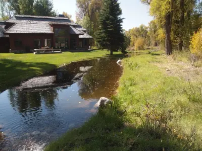 The Tree and Landscape Company - Tree & Shrub Care in Jackson, WY