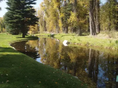 The Tree and Landscape Company - Tree & Shrub Care in Jackson, WY