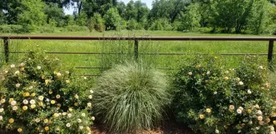 Garden Authority, Inc. - Landscape Construction in Redding, CA