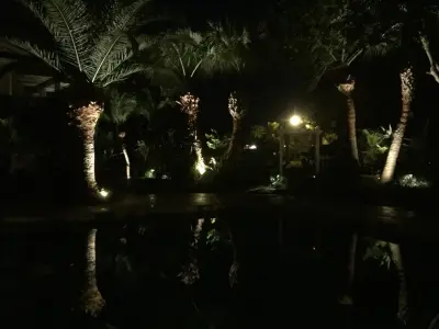 Bloomers Nursery & Landscape - Landscape Construction in Rockport, TX