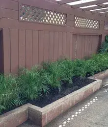 Lovely Little Plants - Landscape Design in Pacific Grove, CA