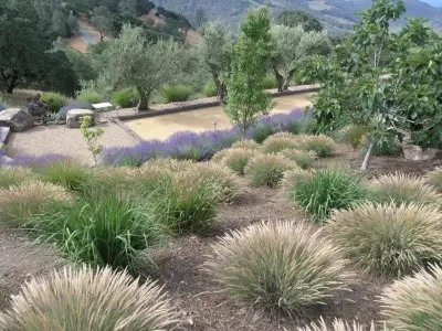 Lori Cagwin Landscape Architecture - Landscape Construction in Napa, CA