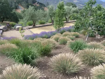 Lori Cagwin Landscape Architecture - Landscape Construction in Napa, CA