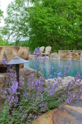 Infinity Edge Pool Lake Property — Landscape Design project by The Easy Gardener