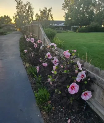 Shapton Landscape Design, LLC - Design-Build Services in Moses Lake, WA