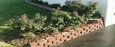 Complete Creations Landscaping - Pest Control Services in Jonesborough, TN