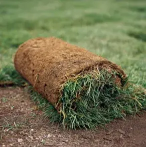 Complete Creations Landscaping - Pest Control Services in Jonesborough, TN
