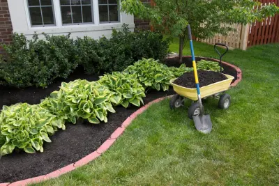 Bay Area Landscape Nursery - Landscape Design in Corpus Christi, TX