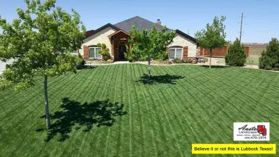 Lubbock Fescue Grass Landscape Design, Installation, and Maintenance 01 — Landscape Design project by Austex Landscape