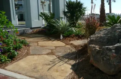 McNamee Nursery & Landscaping - Tree Planting & Transplanting in Taft, TX