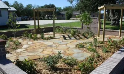 McNamee Nursery & Landscaping - Tree Planting & Transplanting in Taft, TX
