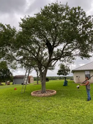 Gulf Coast Landscaping Services - Landscape Construction in Victoria, TX