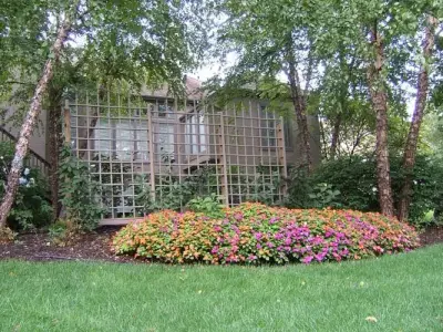 Pinnacle Lawn Care, Inc - Tree & Shrub Care in Stanley, KS