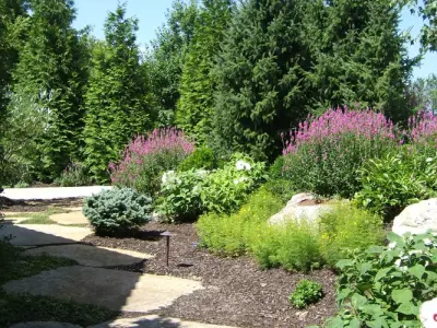 Pinnacle Lawn Care, Inc - Tree & Shrub Care in Stanley, KS