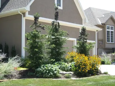 Pinnacle Lawn Care, Inc - Tree & Shrub Care in Stanley, KS