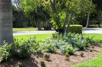 Sceneries — Landscape Design project by Jesus Hernandez Landscaping & Design