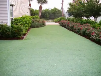 GPL Landscaping - Tree & Shrub Care in Destin, FL
