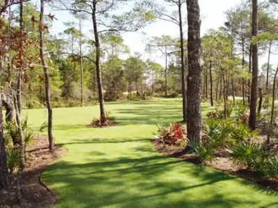 GPL Landscaping - Tree & Shrub Care in Destin, FL