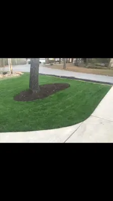 Vista View landscaping - Deck Building & Repair in Bella Vista, AR