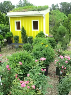 Garden Design — Landscape Design project by Wright Outdoor Solutions