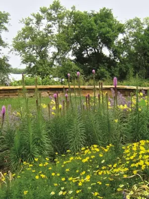 Wright Outdoor Solutions - Landscape Construction in West Des Moines, IA