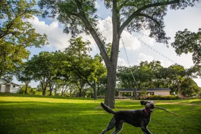 Summit Landscape and Design - Patio Design & Installation in Hondo, TX