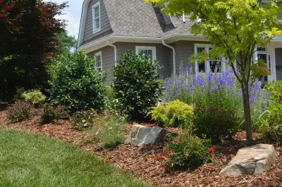 Garden Transformation with Water Feature — Landscape Design project by Promier Landscapes