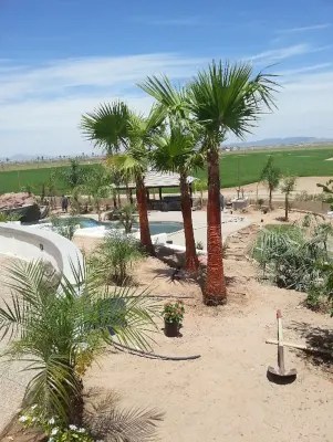 All Play Synthetic Lawns & Landscaping - Landscape Construction in Yuma, AZ