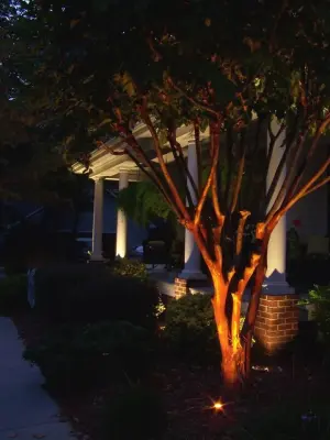 Emerald Isle - Illumination in the Environment — Landscape Design project by Yardworks, Inc.