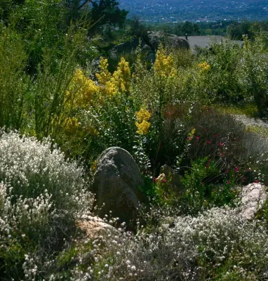 Landscapes for Life LLC - Landscape Design in Prescott, AZ