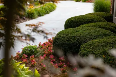 Sun Valley Landscaping - Tree & Shrub Care in Omaha, NE
