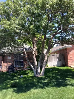 Master's Tree Care & Landscaping - Landscape Construction in Amarillo, TX