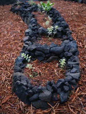 Hawai'i Land & Garden Works - Landscape Design in Kealakekua, HI