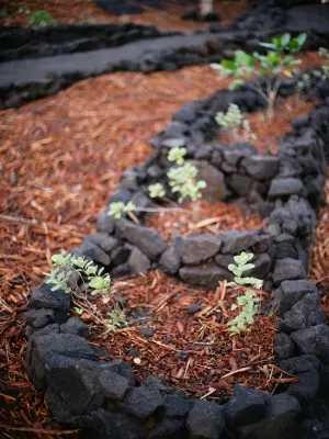 Hawai'i Land & Garden Works - Landscape Design in Kealakekua, HI