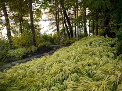 Trowbridge Wolf Michaels Landscape Architects - Landscape Construction in Ithaca, NY