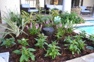 Mediterranean Courtyard Renovation — Landscape Design project by Megan Montgomery Design