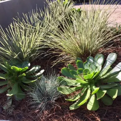 Haven Home and Garden Design - Patio Design & Installation in Alameda, CA