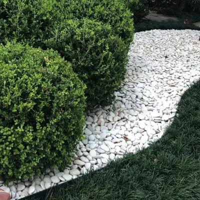 Ash and Line - Landscape Construction in Fulshear, TX