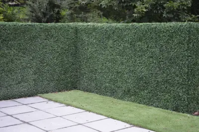 The Easy Gardener - Landscape Design in Knoxville, TN