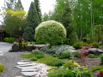 Alternative Lawn Solutions — Landscape Design project by Barbara Safranek Landscape Design