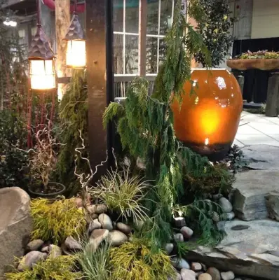 Garden Pots — Landscape Design project by Barbara Safranek Landscape Design