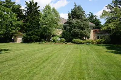 A&E Landscaping - Landscape Construction in Tallahassee, FL