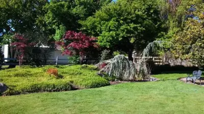 Naturescape Designs - Design-Build Services in Phoenix, OR