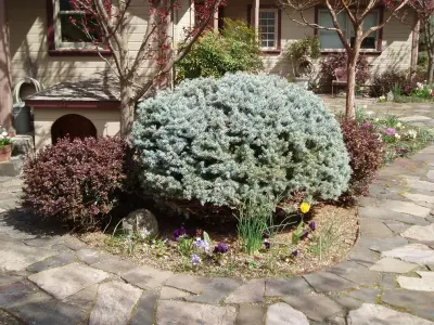 Naturescape Designs - Design-Build Services in Phoenix, OR