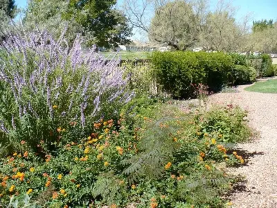 Butterfly Gardens Inc - Landscape Design in Sierra Vista, AZ