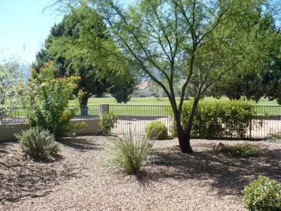 Butterfly Gardens Inc - Landscape Design in Sierra Vista, AZ
