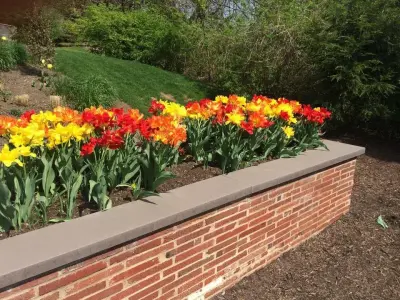 Landscape Design Studio - Landscape Design in Pittsburgh, PA