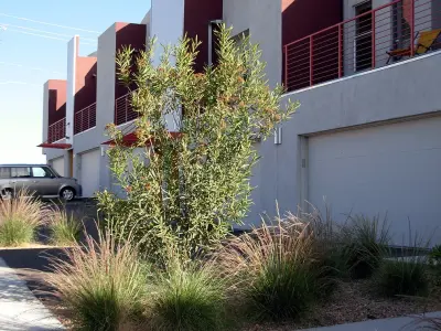 Aliso Townhomes A1 — Landscape Design project by Quercus