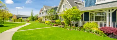 Carolina Horticultural Services - Tree & Shrub Care in Swansboro, NC