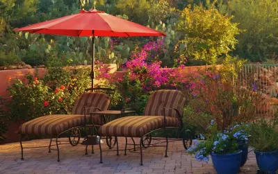 Oro Valley - Mediterranean Desert — Landscape Design project by Landscape Design West, LLC